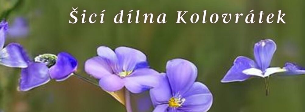 Kolovratek