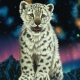 tjapa